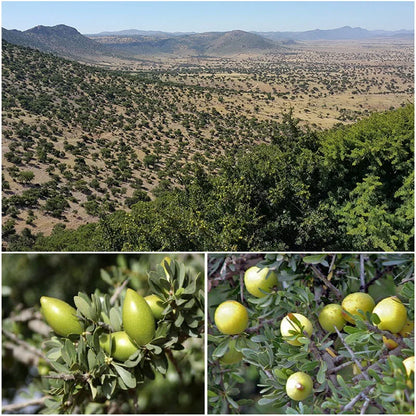 Moroccan argan oil