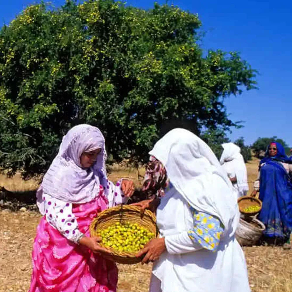 Moroccan argan oil